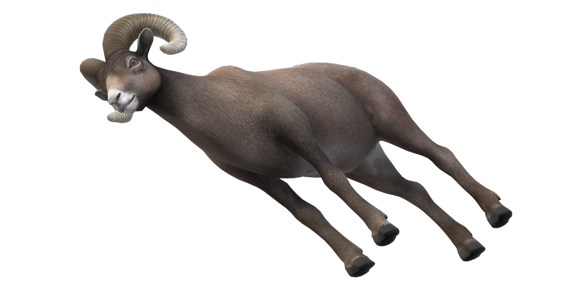 Ram isolated on a Transparent Background png