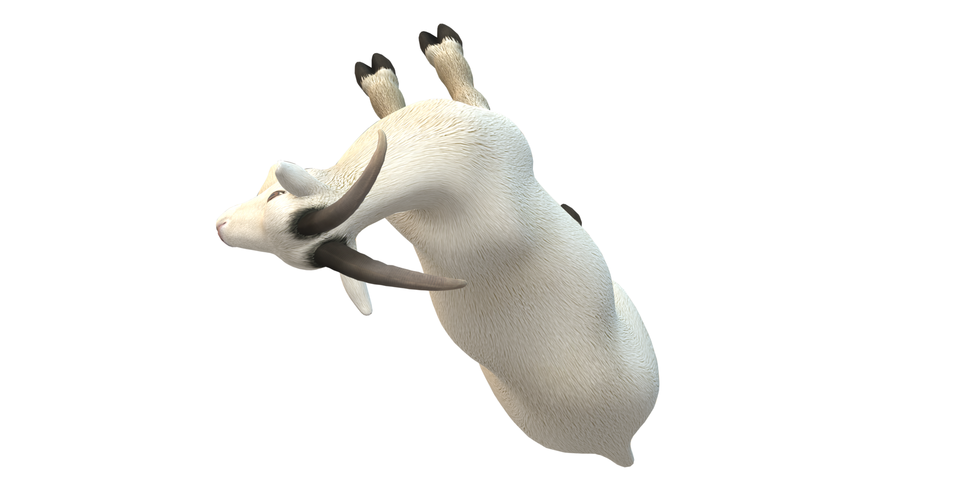 Goat isolated on a Transparent Background png