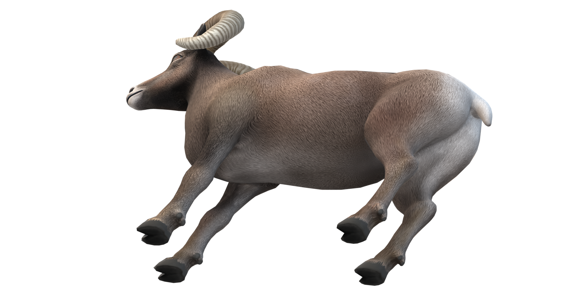 Ram isolated on a Transparent Background png