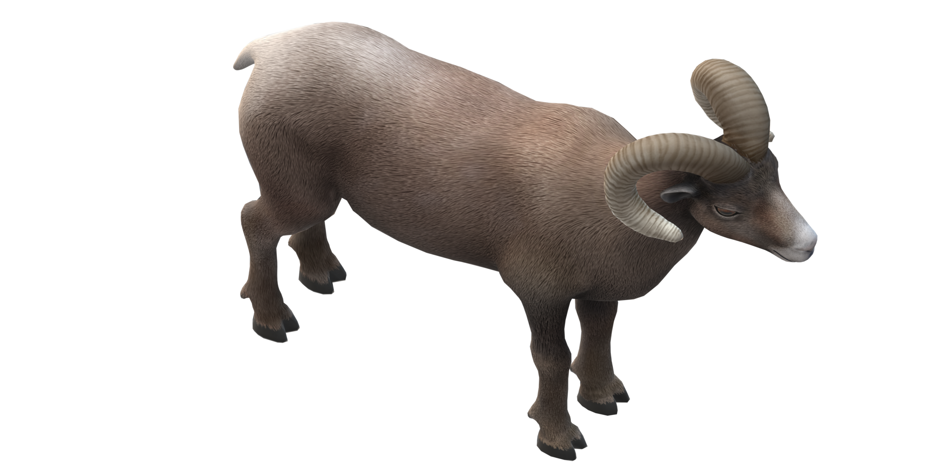 Ram isolated on a Transparent Background png