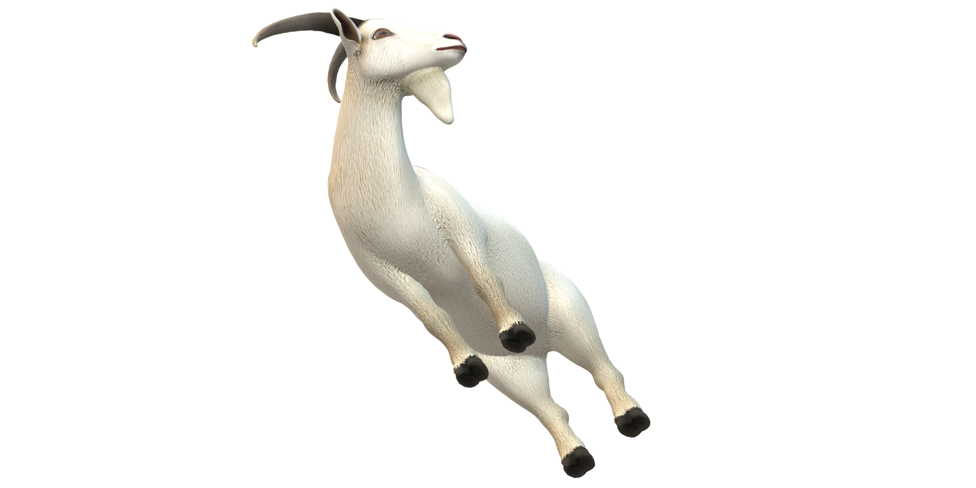 Goat isolated on a Transparent Background png