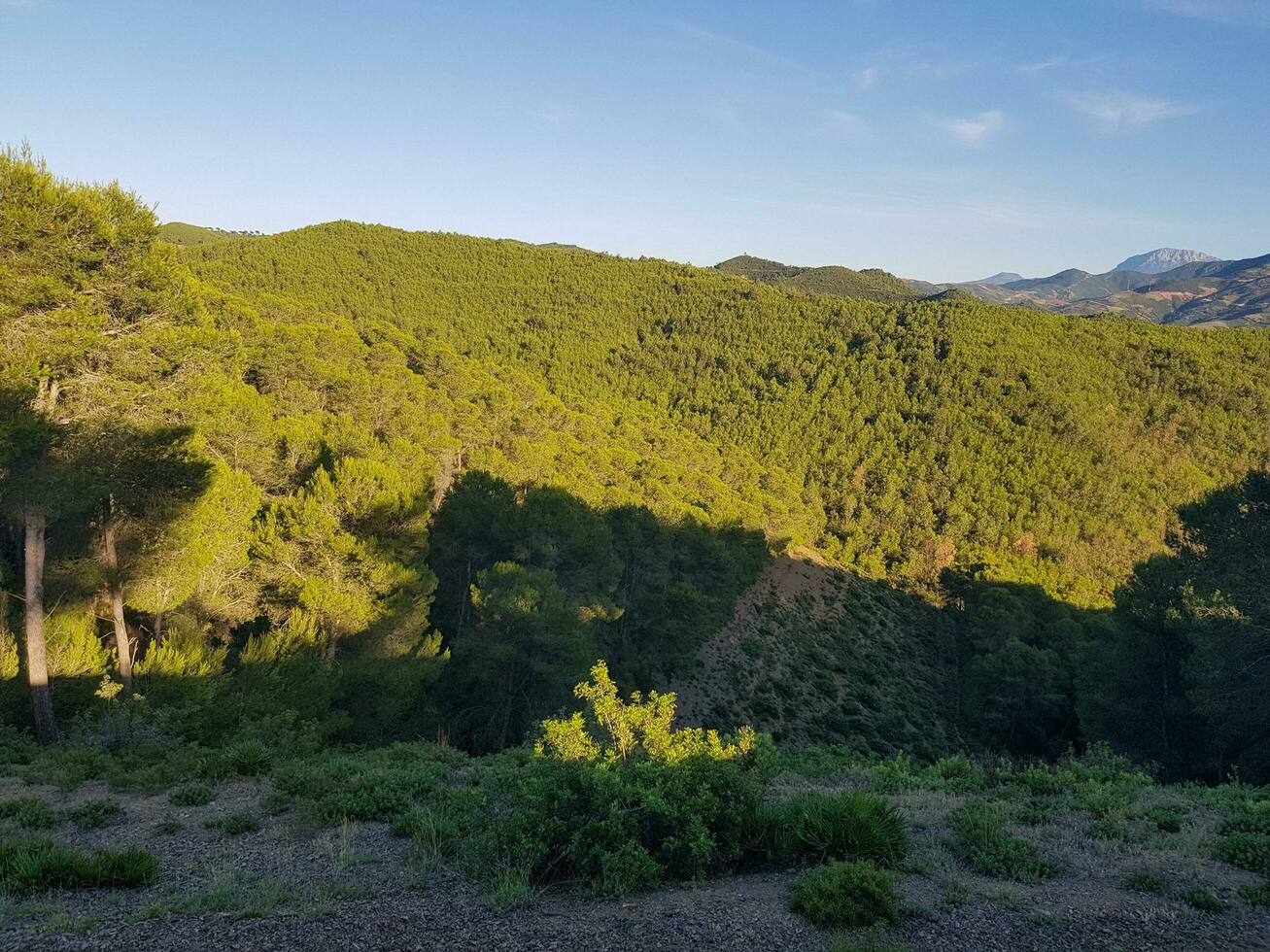 A Sunny Day in the Wilderness photo