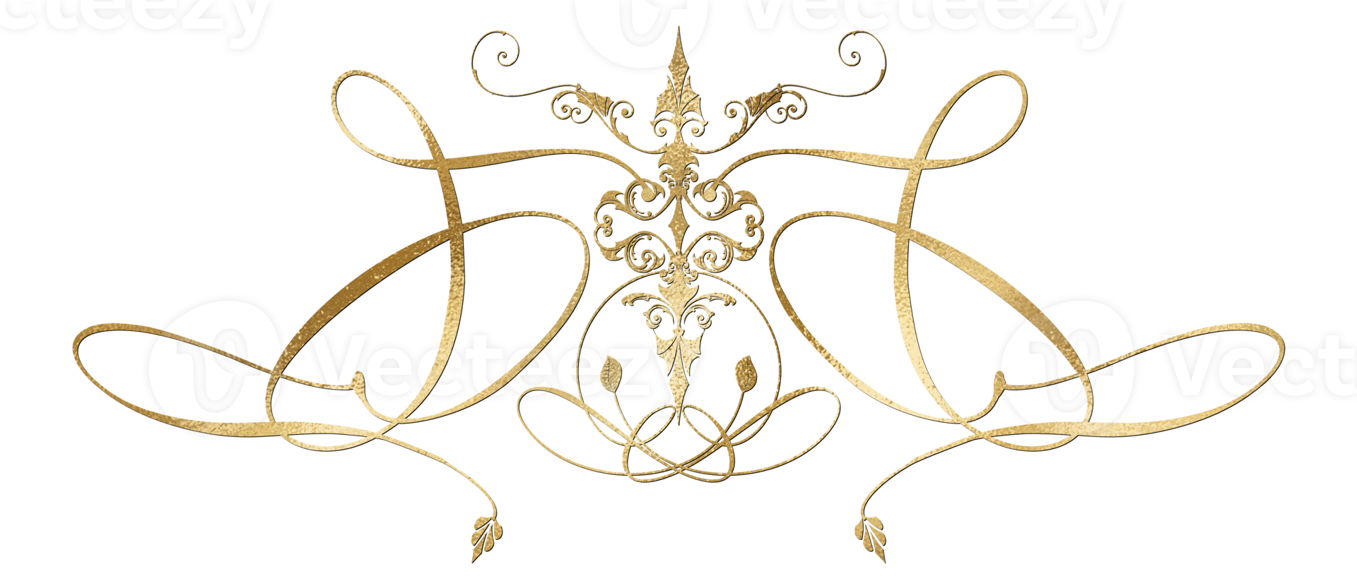 GOLDEN LUXURY ELEMENT png
