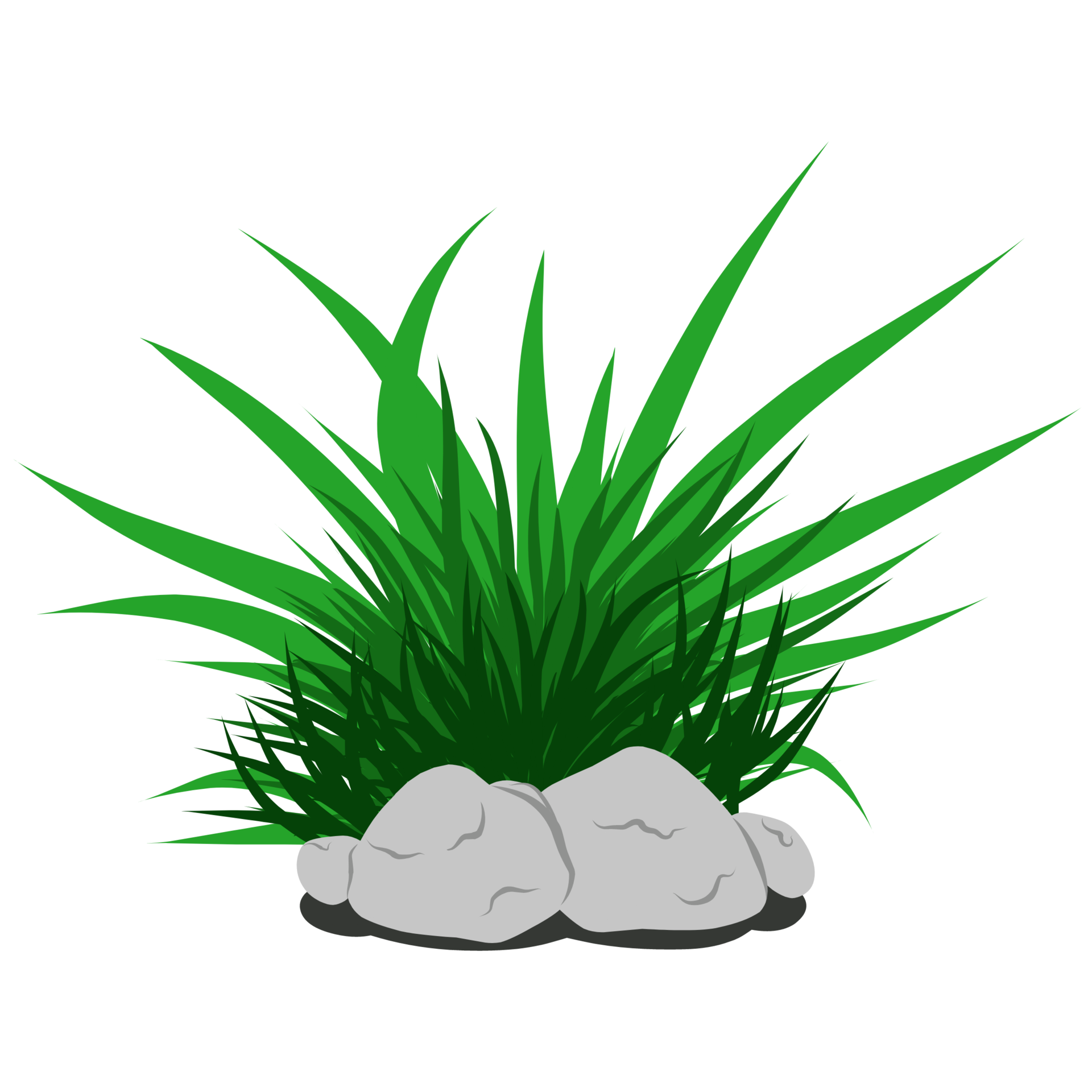 Stone and grass 34713708 PNG