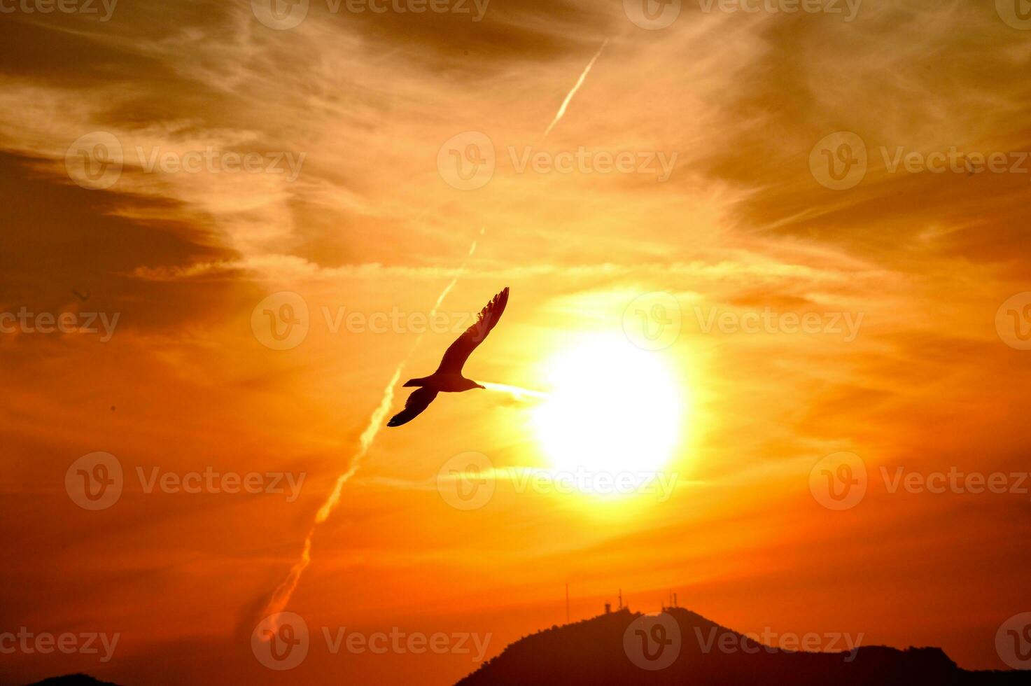 A bird flying in the sky at sunset near the sun disc. photo