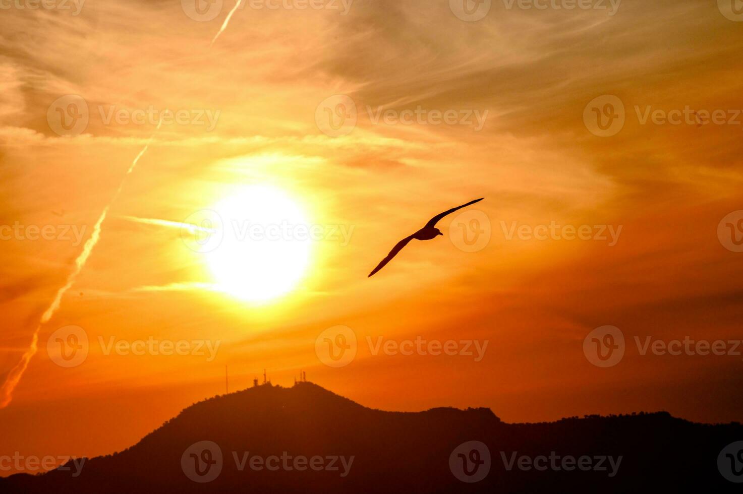 un pájaro volador en el cielo a puesta de sol cerca el Dom desct. foto