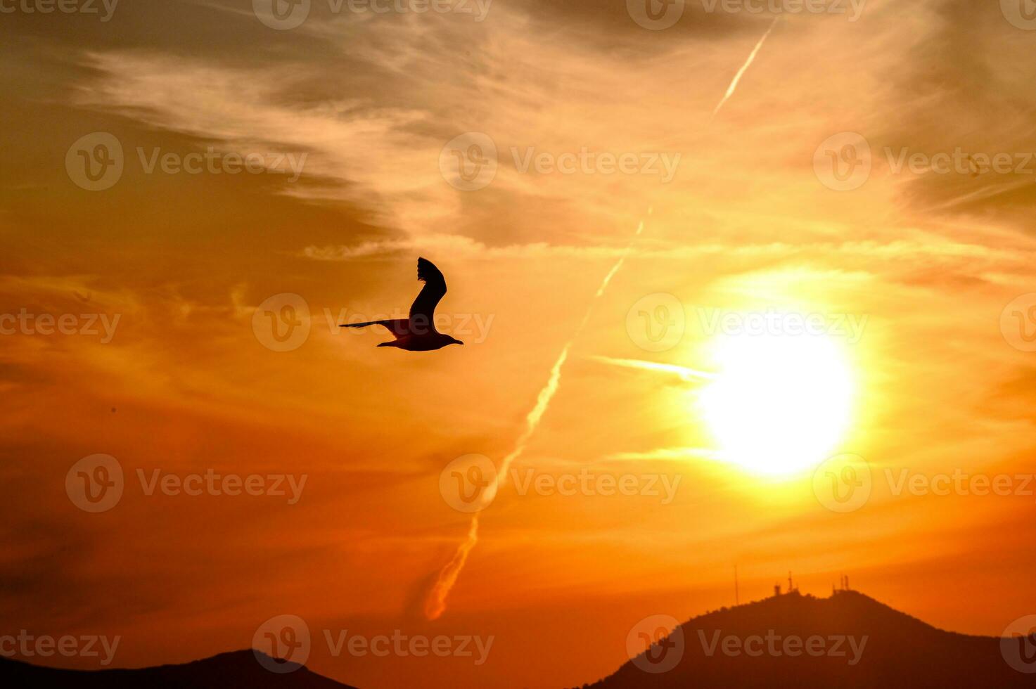 A bird flying in the sky at sunset near the sun disc. photo