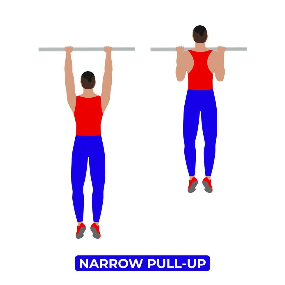 Vector Man Doing Narrow Pull Up. Bodyweight Fitness Back Workout Exercise. An Educational Illustration On A White Background.