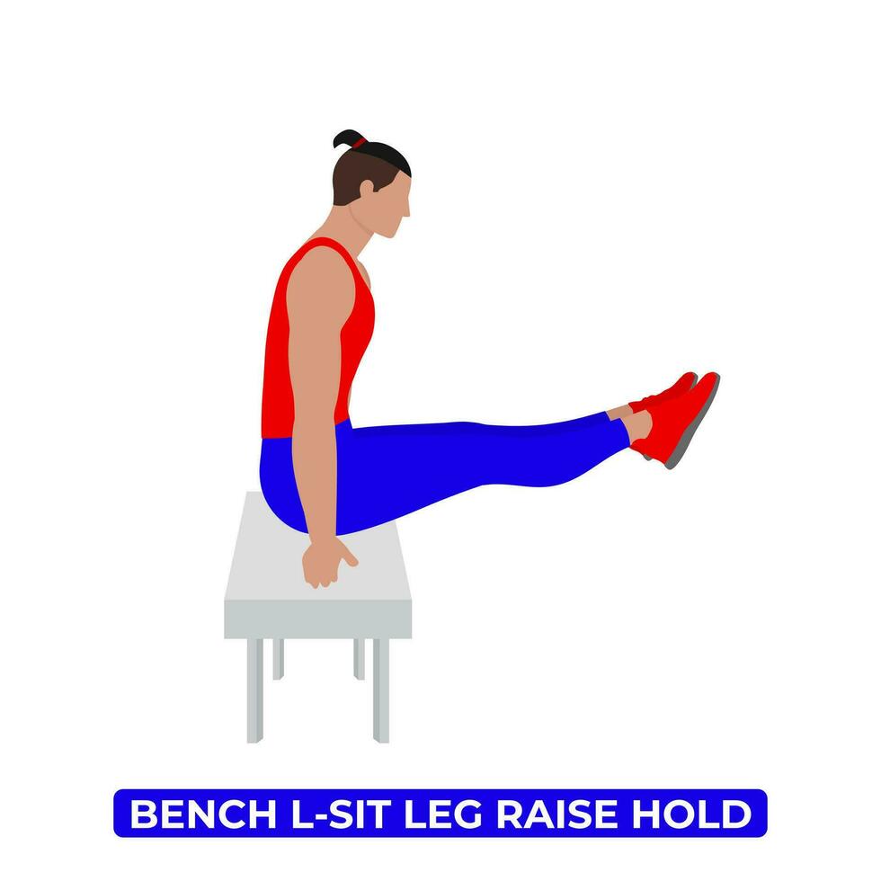 vector hombre haciendo banco l sentar pierna aumento sostener. peso corporal aptitud estático abdominales rutina de ejercicio ejercicio. un educativo ilustración en un blanco antecedentes.