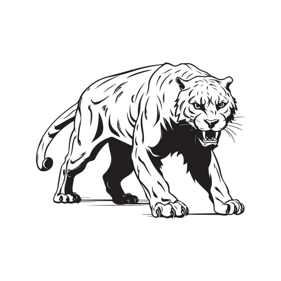 Panther Image Vector, Art, Icons, and Graphics vector