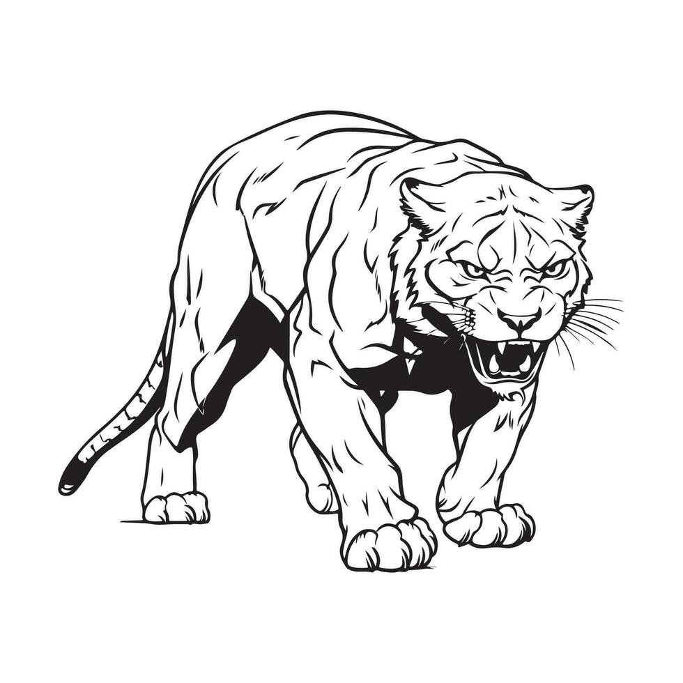 Panther Image Vector, Art, Icons, and Graphics vector