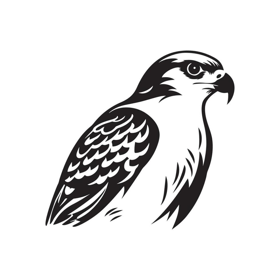 falcon vector illustration, art, design