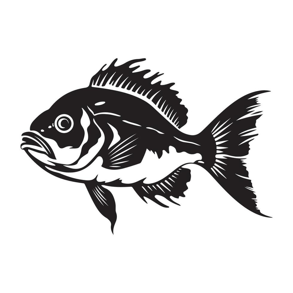 Fish vector image, illustration of fish