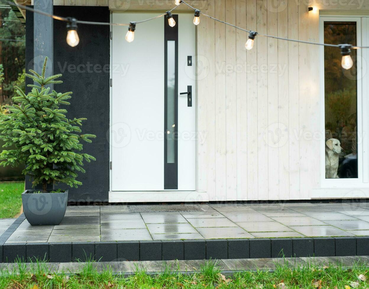 Modern entrance door photo