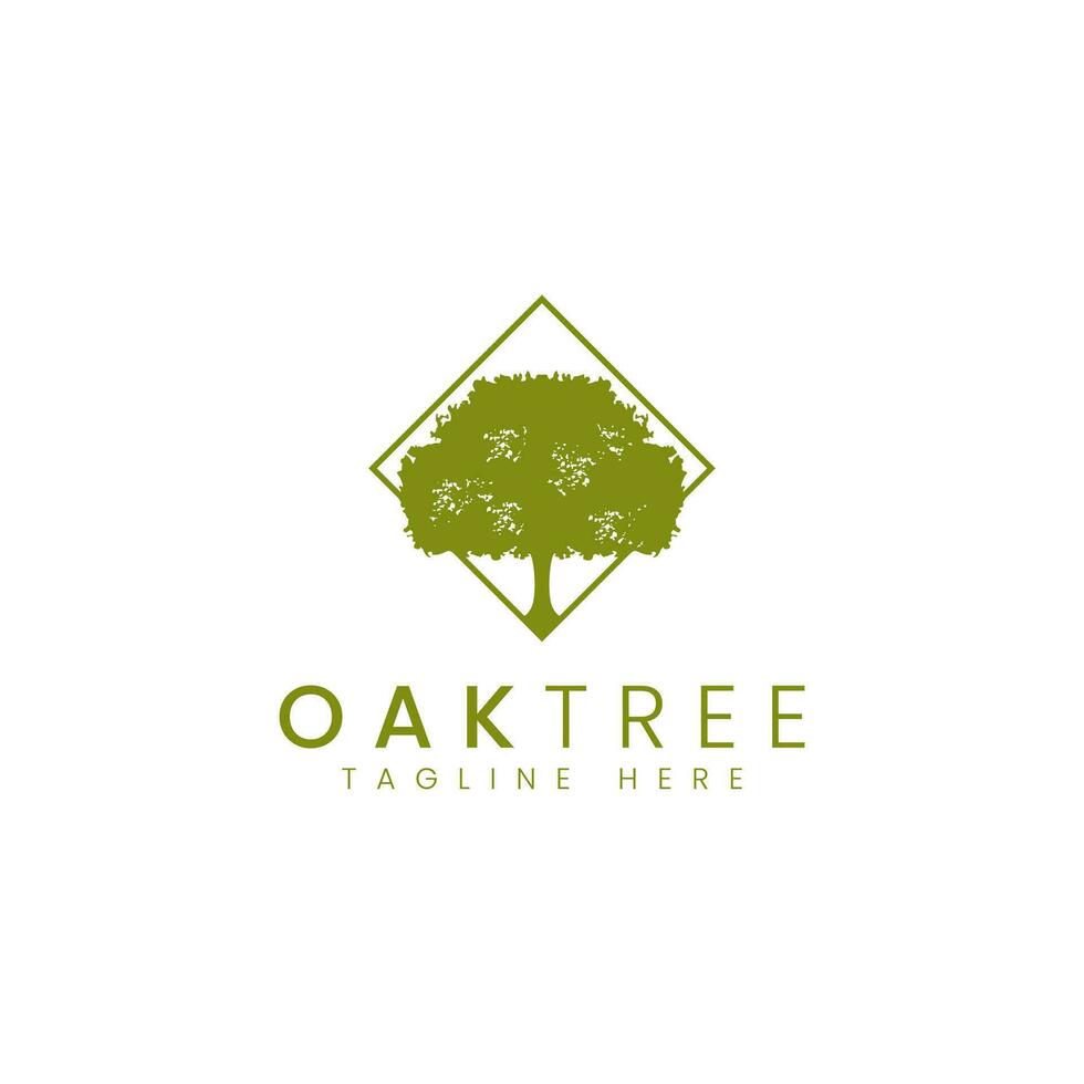 Oak tree logo design vector image