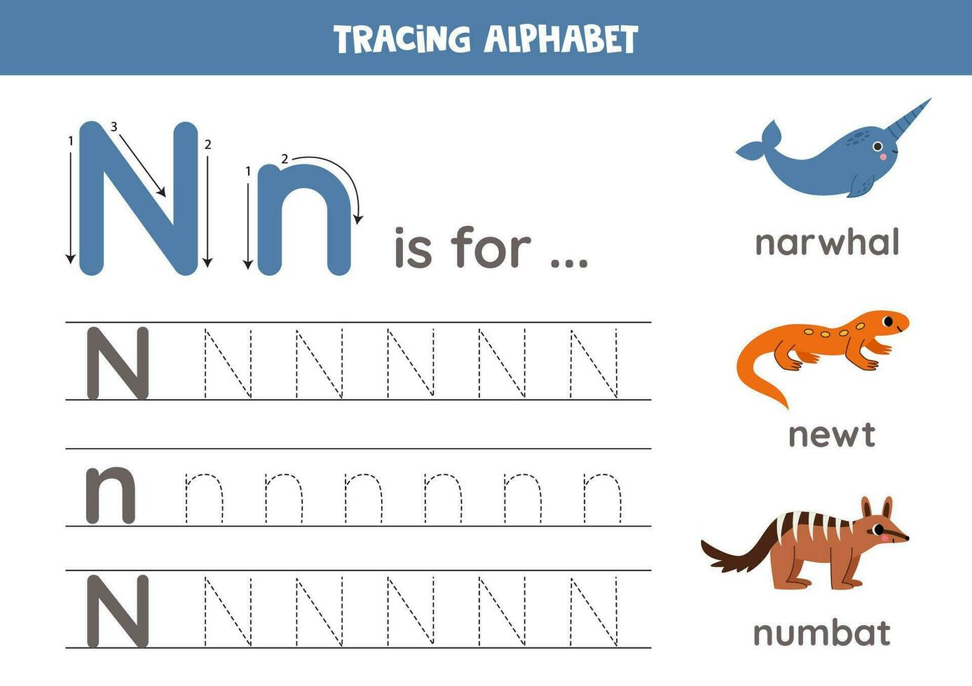 Tracing all letters of English alphabet. Preschool activity for kids. Writing uppercase and lowercase letter N. Printable worksheet. Cute illustration of narwhal, numbat, newt. vector