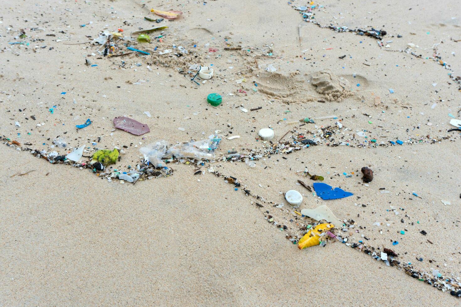 Plastic waste environment pollution on the Beach photo