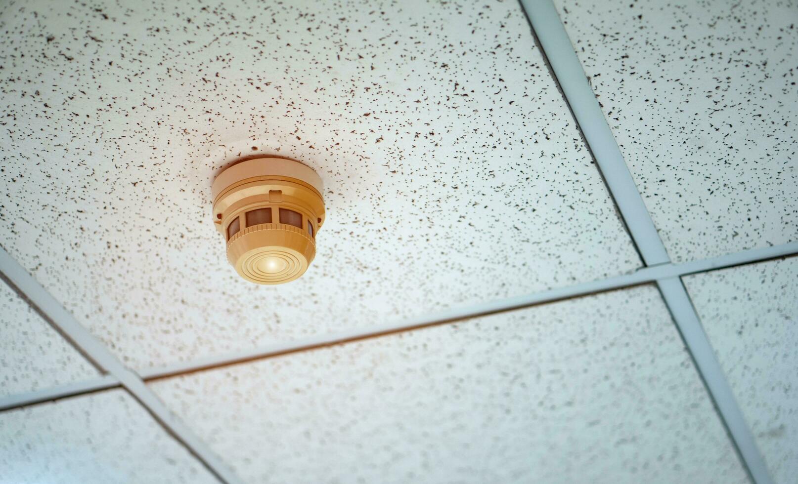 Smoke alarms in public buildings or offices photo