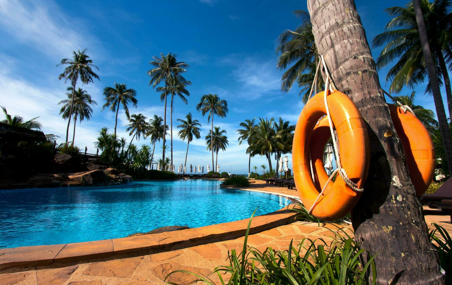 resort hotel pool photo