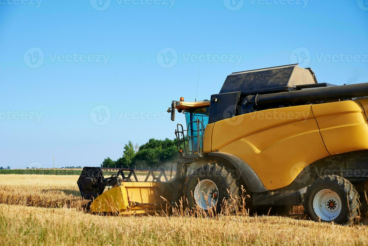 combinar segador cosecha dorado maduro trigo en agrícola campo foto