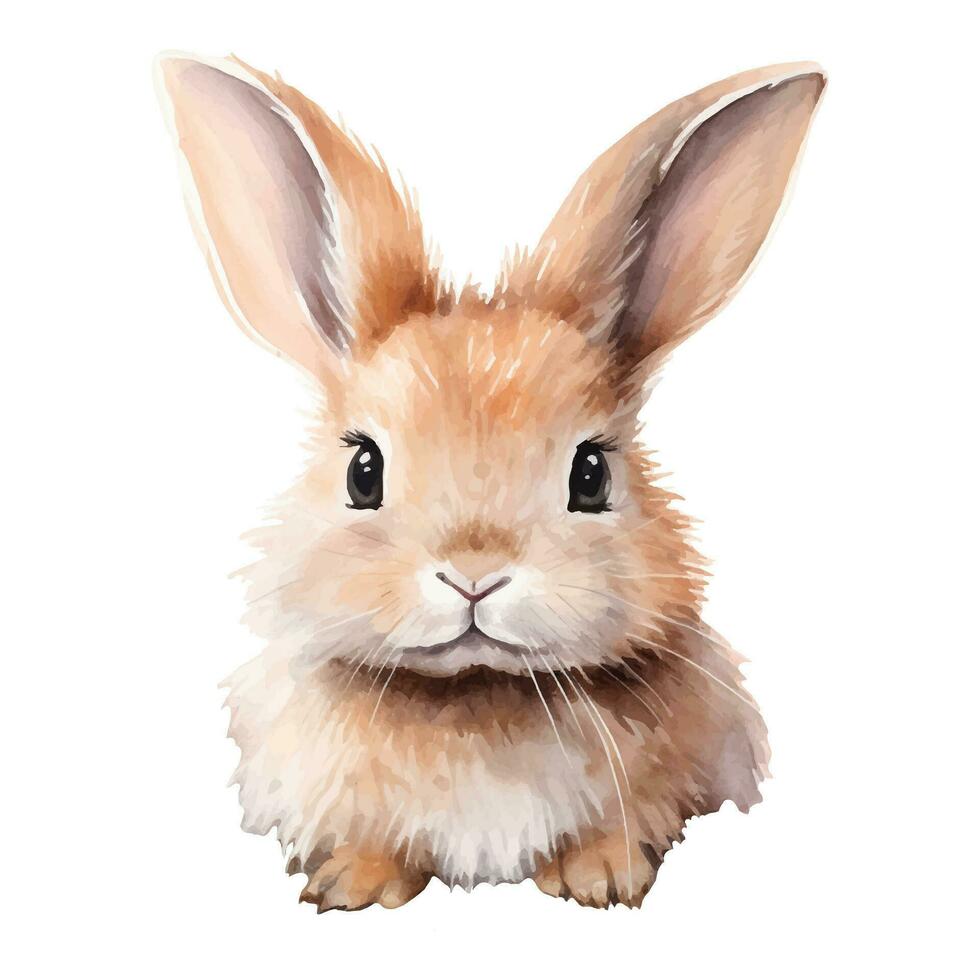 acuarela bebé conejito. vector ilustración con mano dibujado mullido conejo, Pascua de Resurrección conejito. acortar Arte.