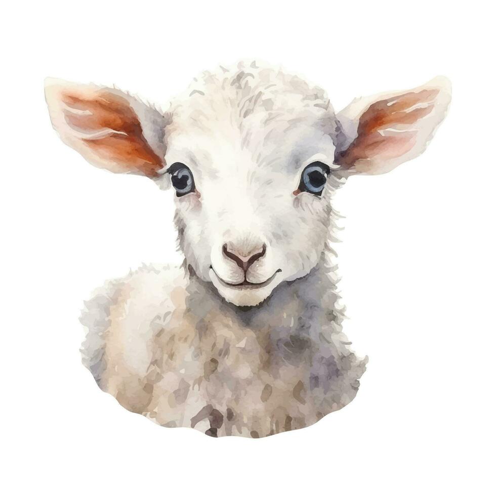 Cute watercolor lamb sheep farm animal isolated on white background. Vecor illustration vector