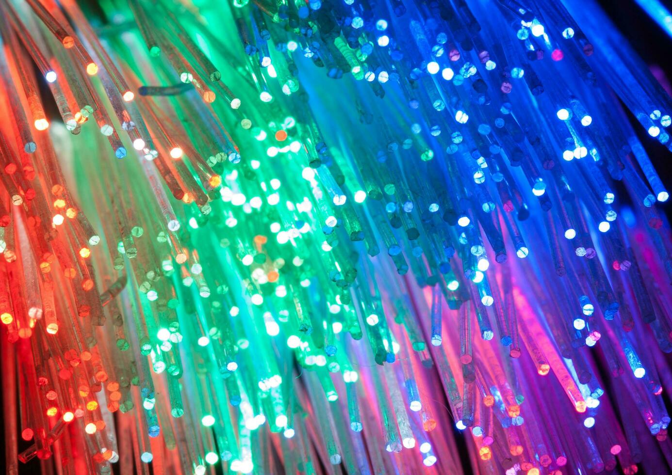 fibra óptico red cable foto
