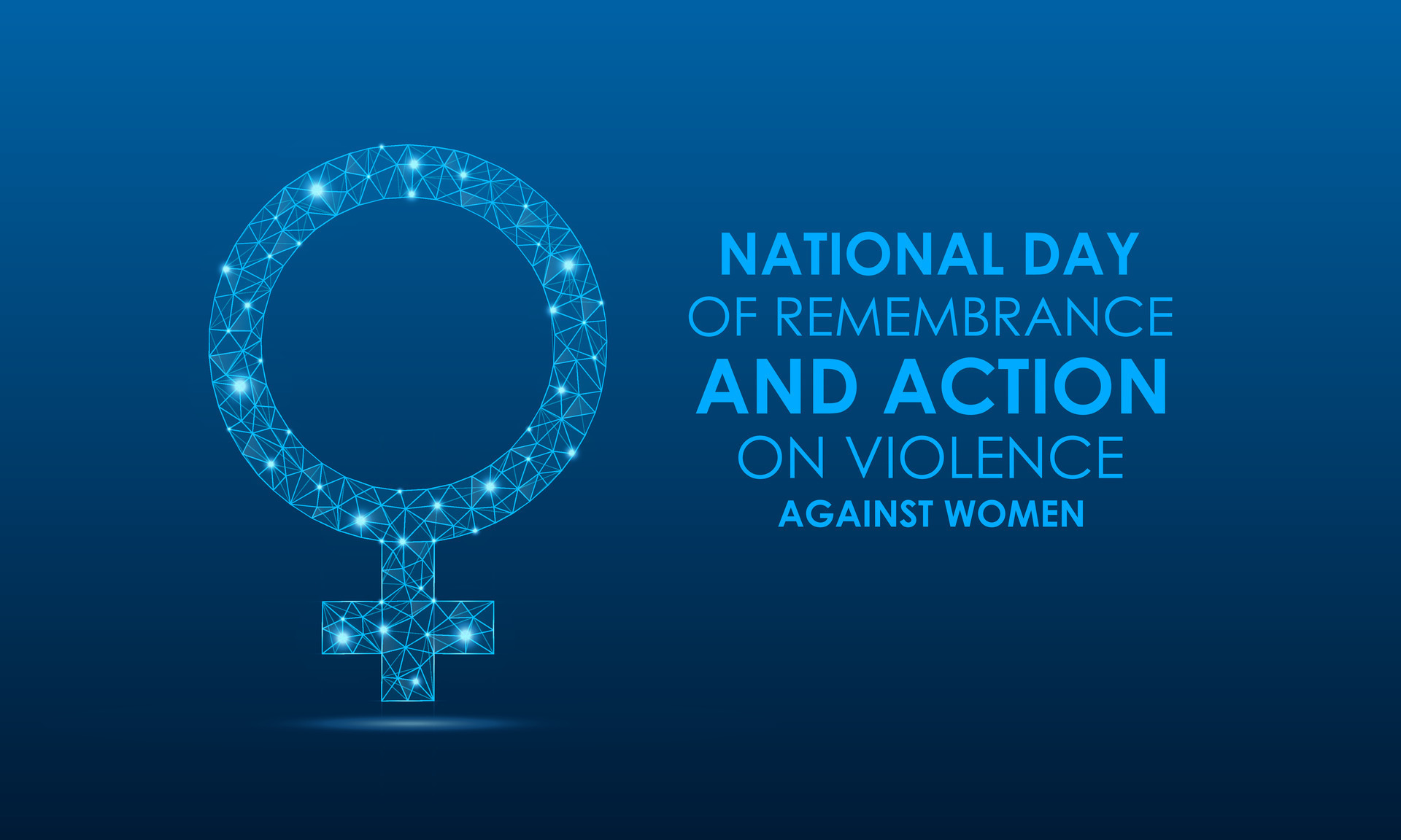 National Day Of Remembrance And Action On Violence Against Women