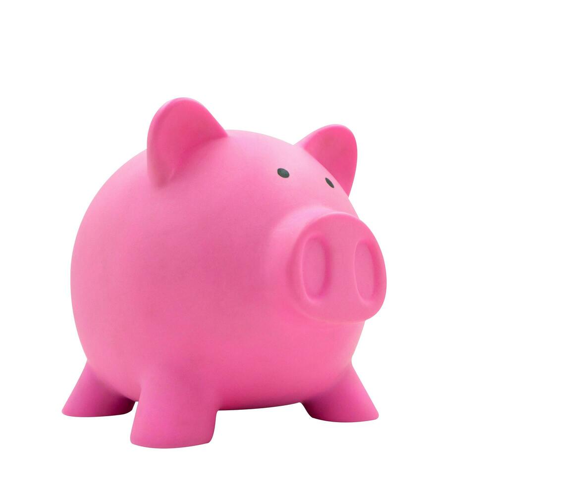Side view of pink piggy bank made from plastic isolated photo