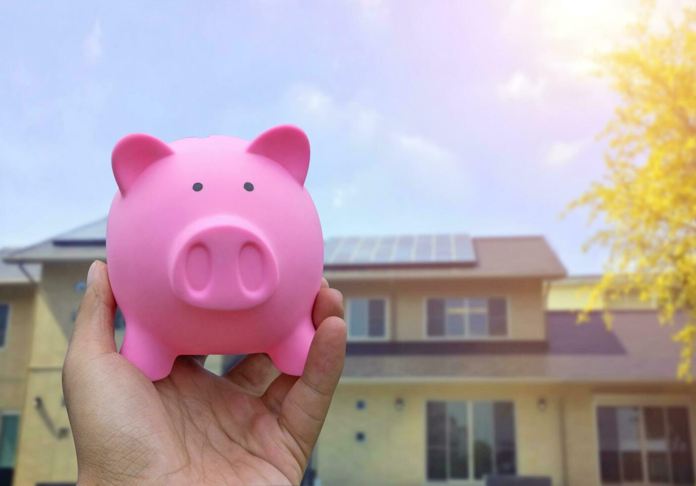 Male hand holding a pink piggy bank on blured house background photo