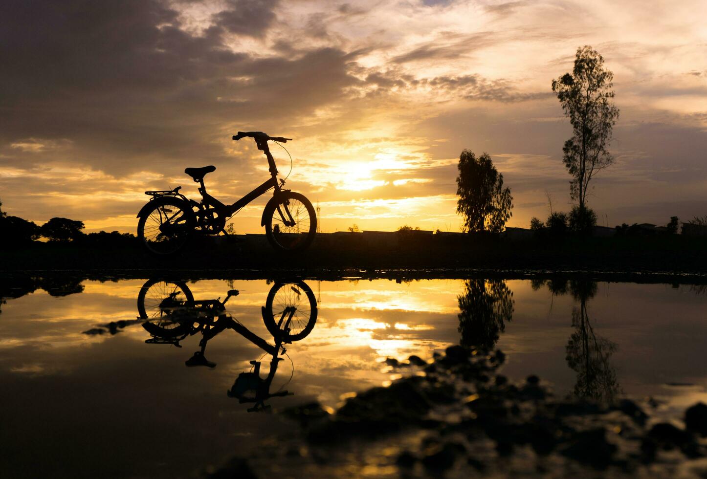 silueta plegable bicicleta parque en el frente al mar foto