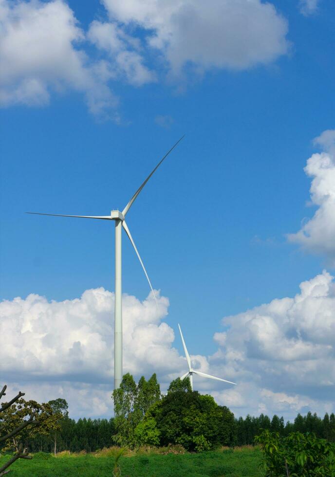 Many wind turbine in meadow. photo