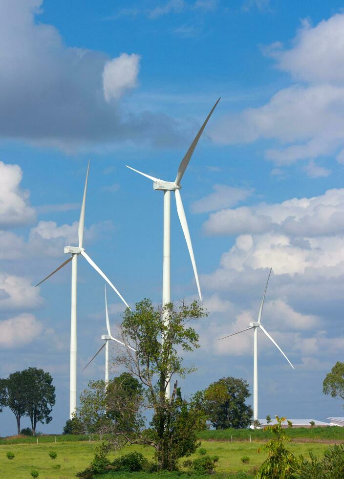 Many wind turbine in meadow. photo