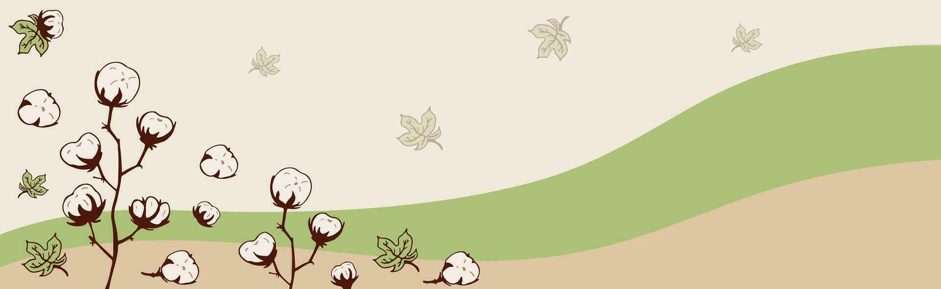 Horizontal Border cotton branches. Dry Herbs. Vector banner with soft cotton balls in beige, green. Design frame for decoration of medical articles and websites, print, postcards, covers, posters.