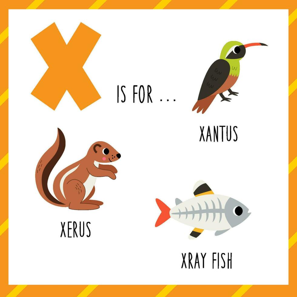 aprendizaje Inglés alfabeto para niños. letra X. linda dibujos animados xantus xerus radiografía pez. vector