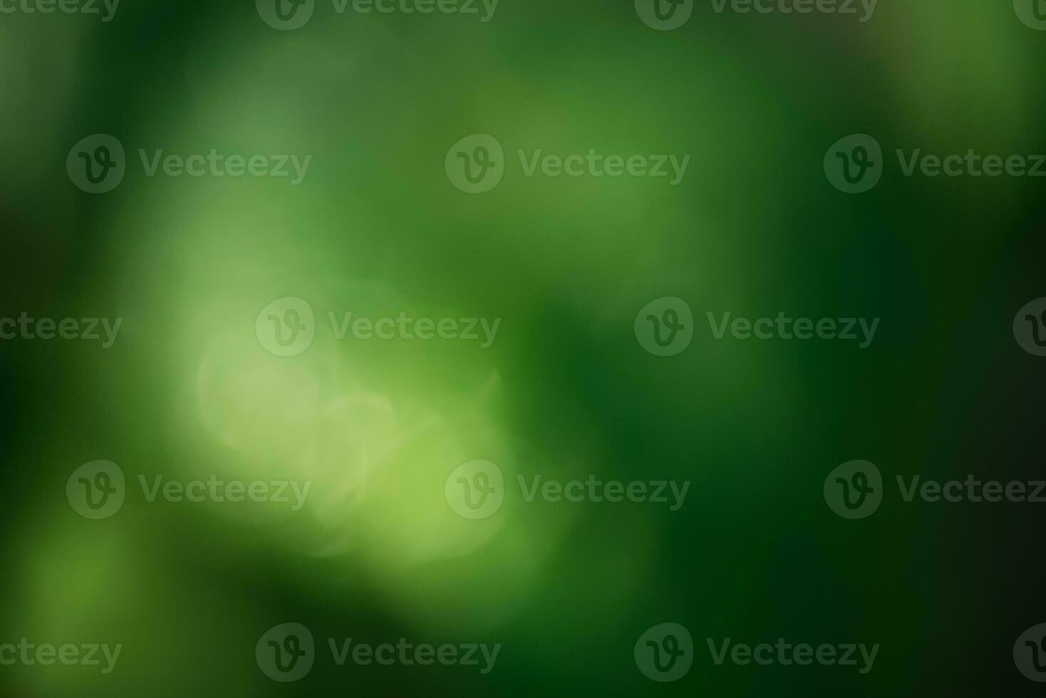 Defocus light is dark green and light. Blurred natural background as a material for a designer. photo