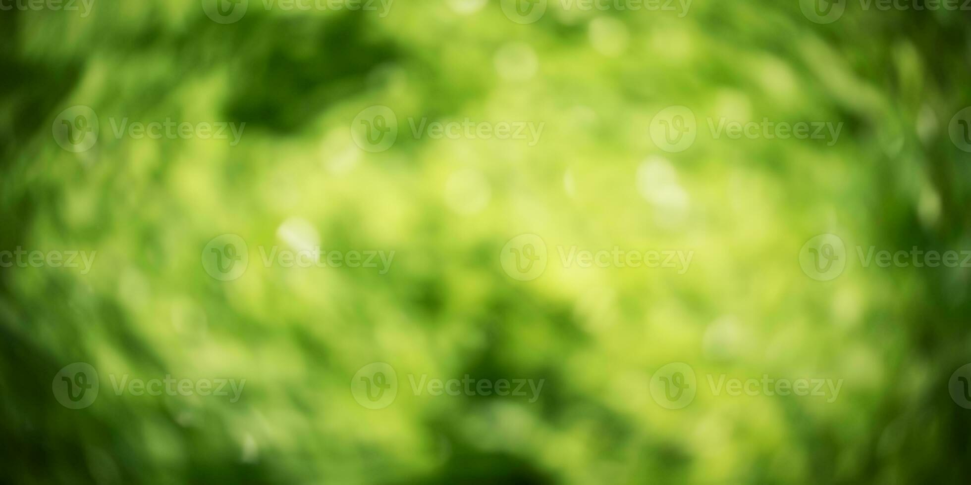 Defocus light natural background blurred green leaves with water drops. Banner size blurred greenery. photo