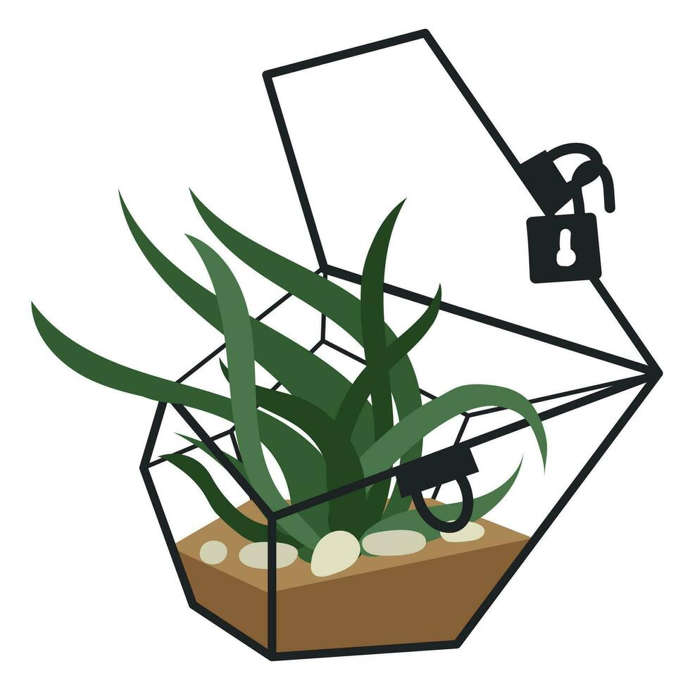 vector ilustración con un vaso planta terrario de un florario destacado en un blanco antecedentes. un planta en un geométrico flor maceta en un plano estilo. un planta en un jaula con un abierto cerrar con llave, un vaso jaula