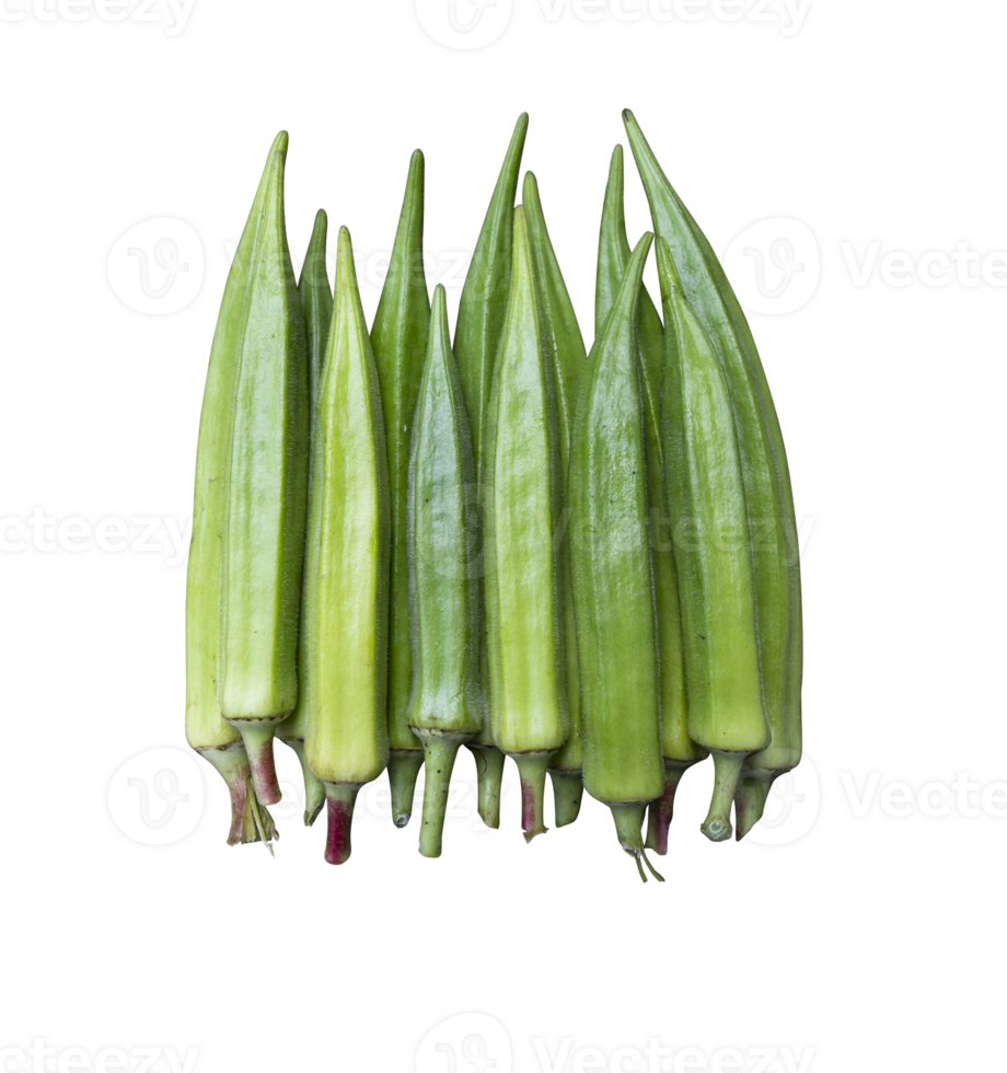Fresh organic vegetables Lady's Finger or Okra isolated on the background png