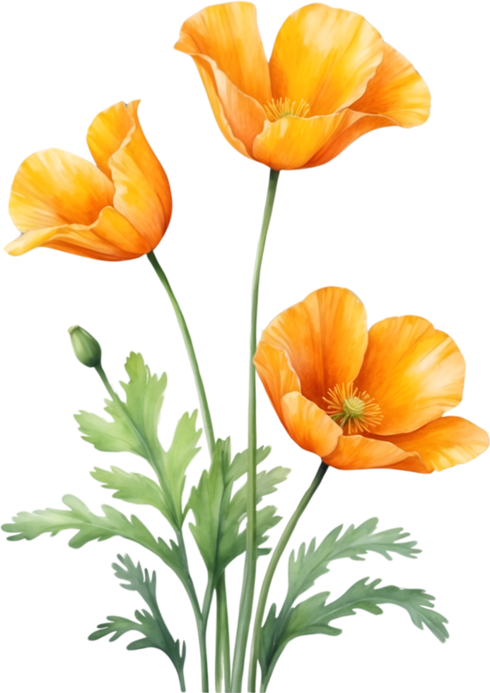 AI generated Watercolor wildflower clipart, AI-Generated. png