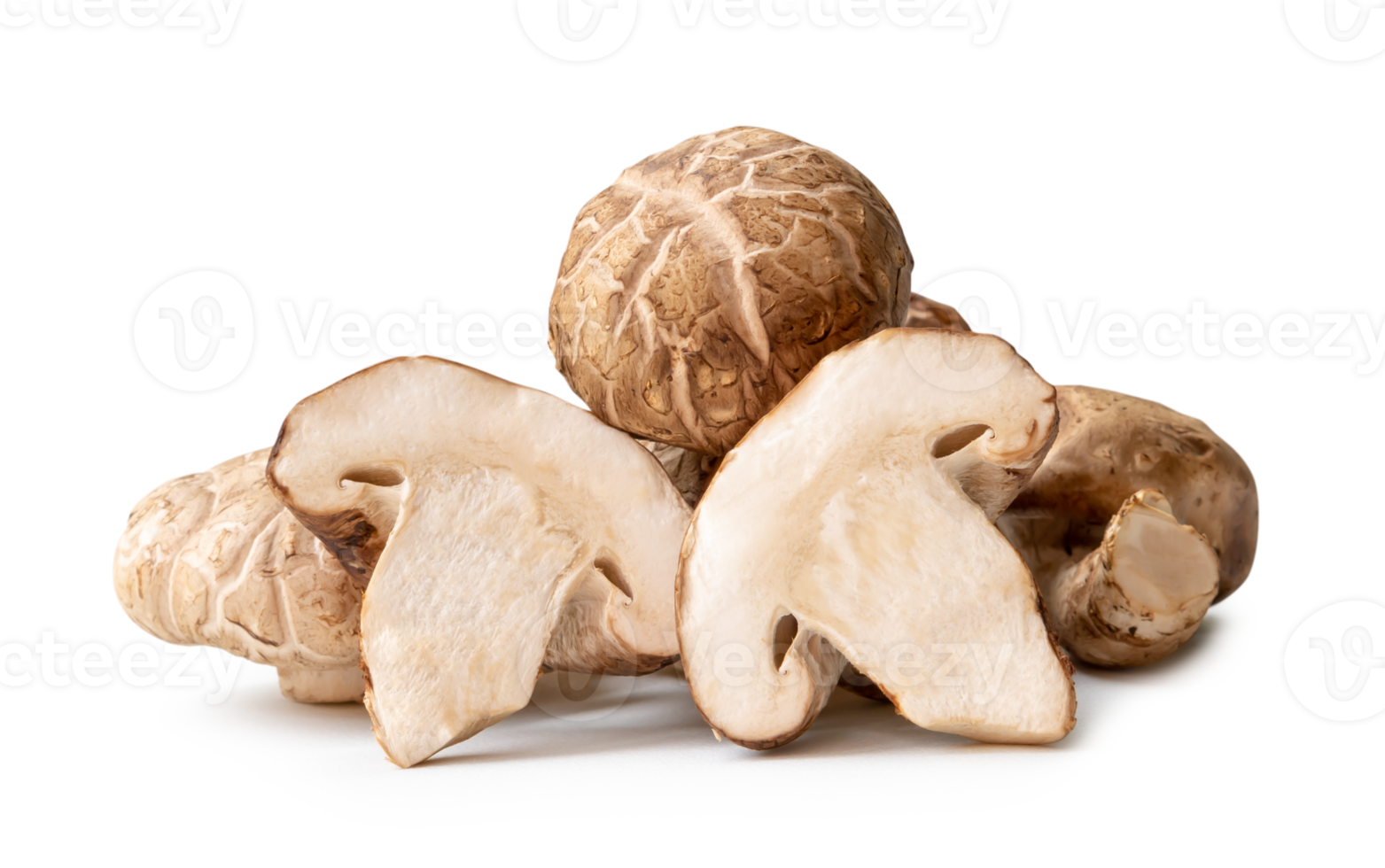 Fresh and dry shiitake mushrooms in stack isolated with clipping path and shadow in png file format. Japanese and Chinese herb