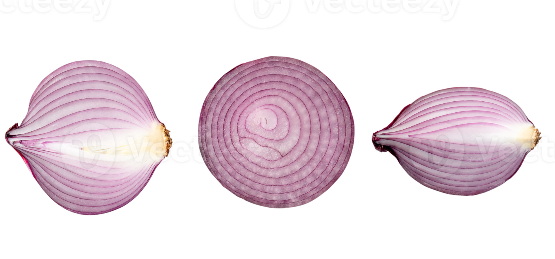 Top view of fresh red or purple onion halves with slice in set isolated with clipping path in png file format.