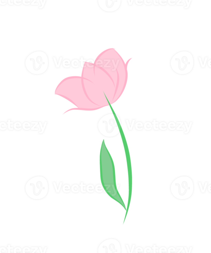a pink flower with green leaves on a transparent background png