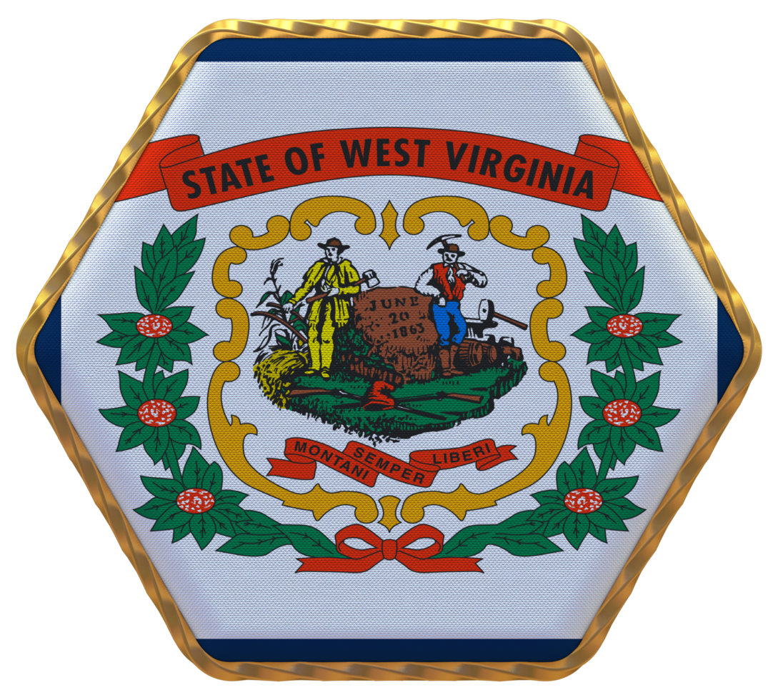 staat van west Virginia vlag in zeshoek vorm met goud grens, buil textuur, 3d renderen png