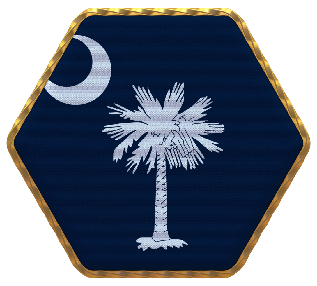 State of South Carolina Flag in Hexagon Shape with Gold Border, Bump Texture, 3D Rendering png