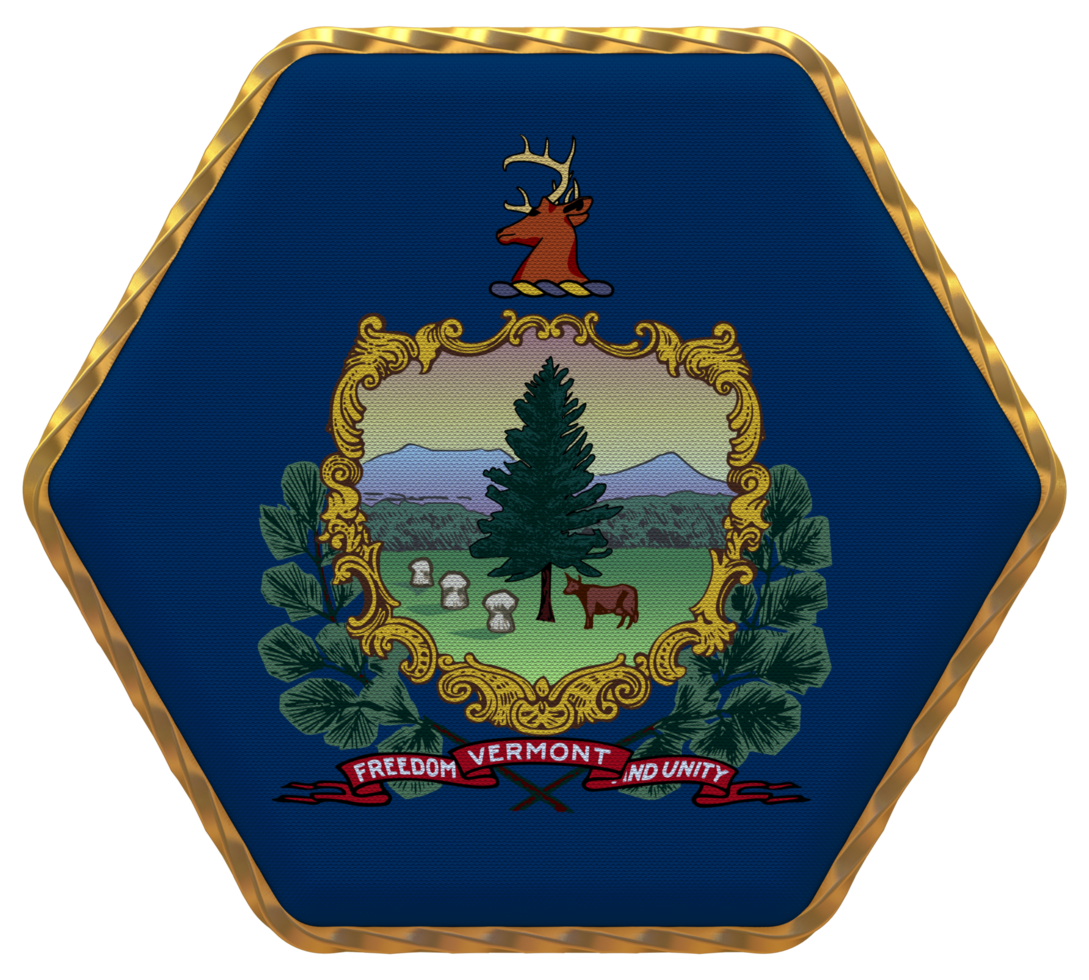 State of Vermont Flag in Hexagon Shape with Gold Border, Bump Texture, 3D Rendering png