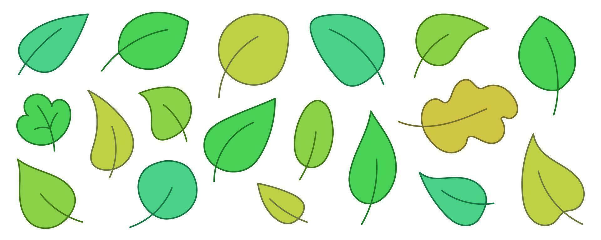 Green leaves from a tree. Flat style. Isolated background. vector