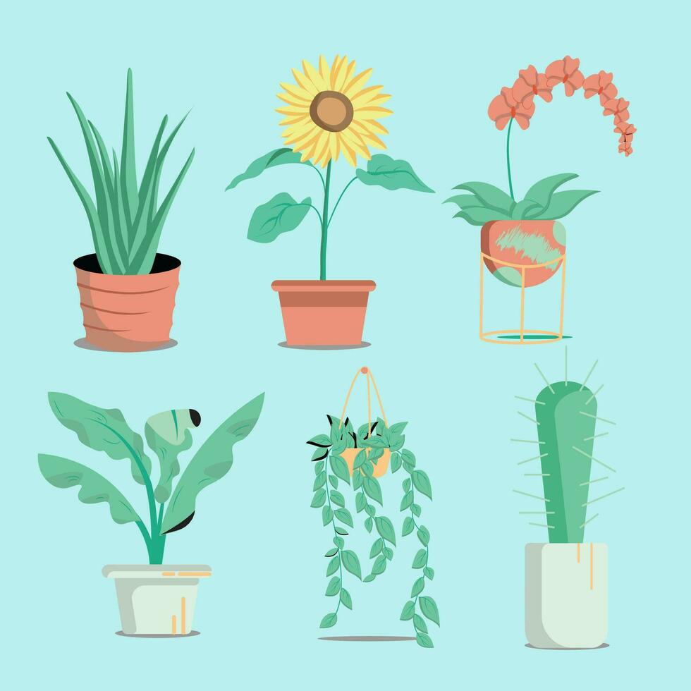 Flat design succulent plants vector