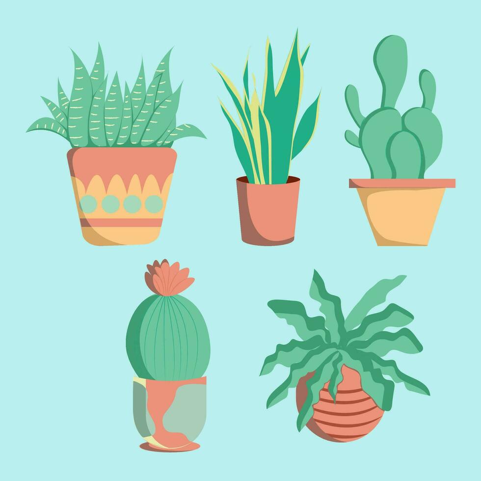 Flat design succulent plants vector