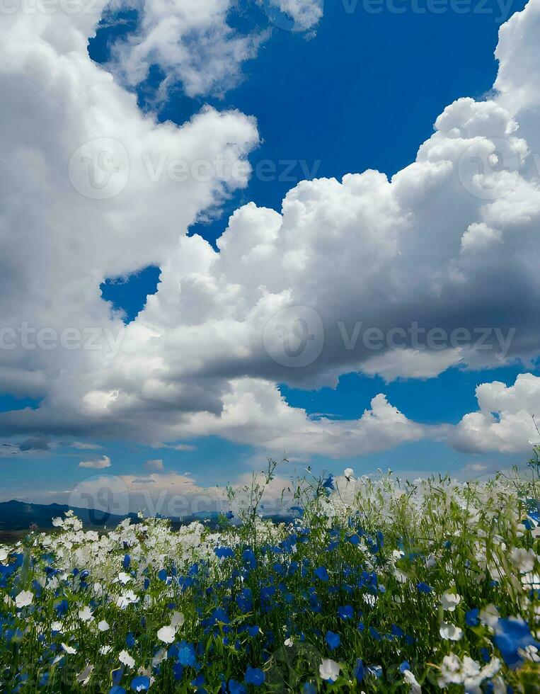 ai generado azul cielo ver foto